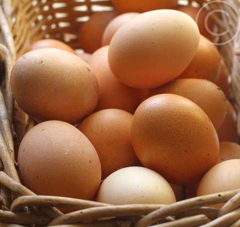 Pastured Eggs